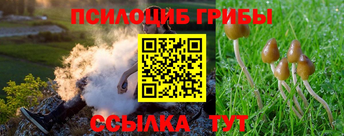 Галлюциногенные грибы MAGIC MUSHROOMS Димитровград