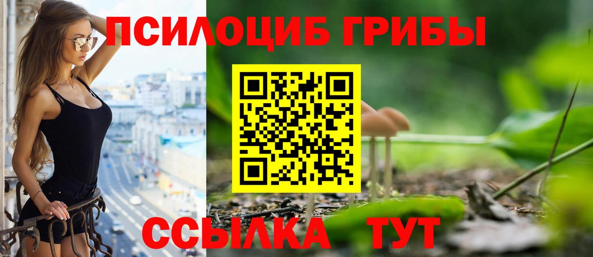 Димитровград  Галлюциногенные грибы Magic Shrooms  Галлюциногенные грибы ЛСД  магазин продажи   Вход с VPN 